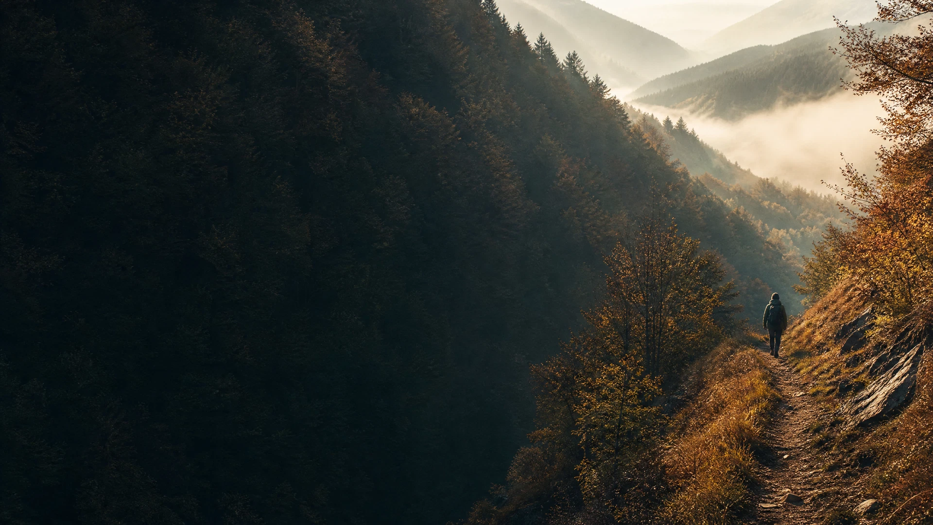 A traveler on a forested mountain road in Azerbaijan